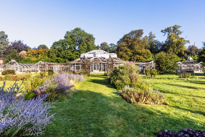 The Walled Garden